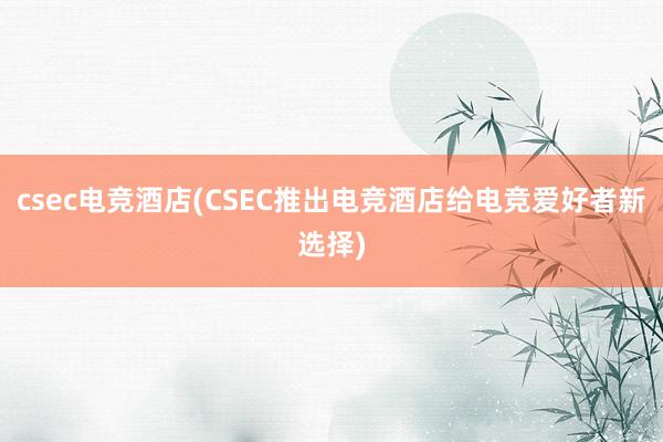 csec电竞酒店(CSEC推出电竞酒店给电竞爱好者新选择)