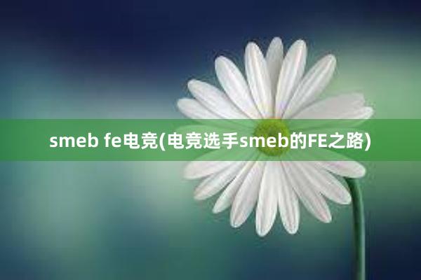 smeb fe电竞(电竞选手smeb的FE之路)