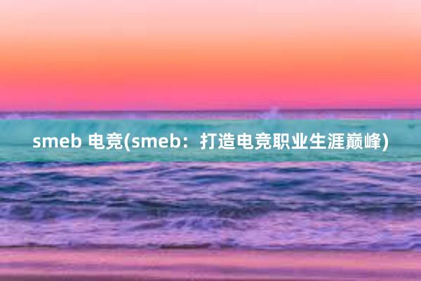 smeb 电竞(smeb：打造电竞职业生涯巅峰)