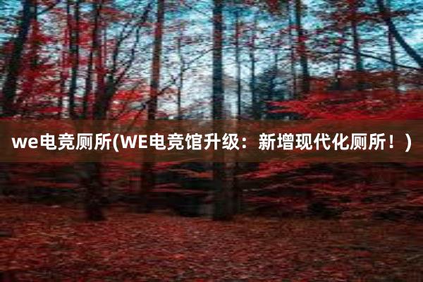 we电竞厕所(WE电竞馆升级：新增现代化厕所！)