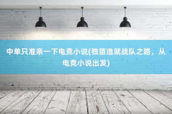 中单只准亲一下电竞小说(独苗造就战队之路，从电竞小说出发)