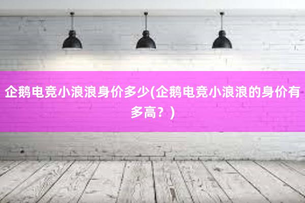 企鹅电竞小浪浪身价多少(企鹅电竞小浪浪的身价有多高？)