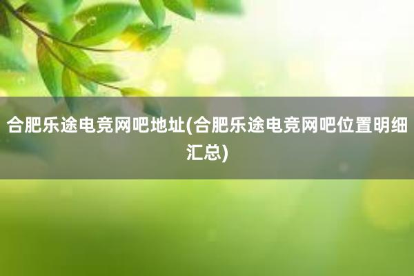 合肥乐途电竞网吧地址(合肥乐途电竞网吧位置明细汇总)