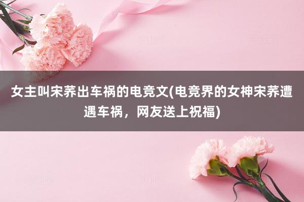 女主叫宋荞出车祸的电竞文(电竞界的女神宋荞遭遇车祸，网友送上祝福)