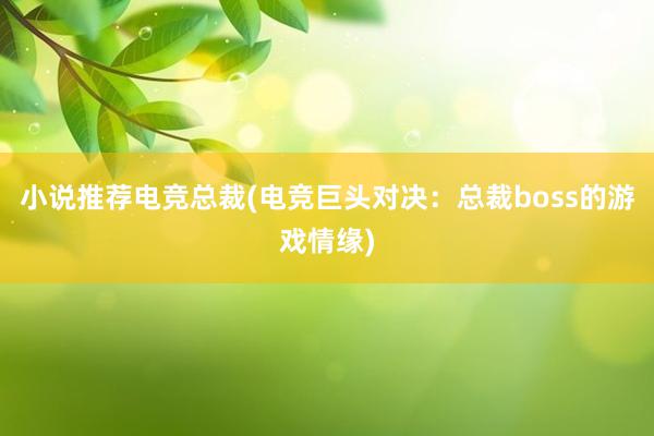 小说推荐电竞总裁(电竞巨头对决：总裁boss的游戏情缘)