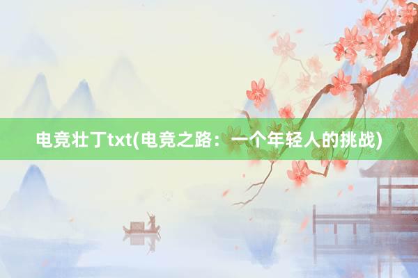 电竞壮丁txt(电竞之路：一个年轻人的挑战)