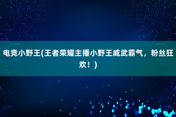 电竞小野王(王者荣耀主播小野王威武霸气，粉丝狂欢！)