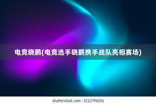 电竞晓鹏(电竞选手晓鹏携手战队亮相赛场)