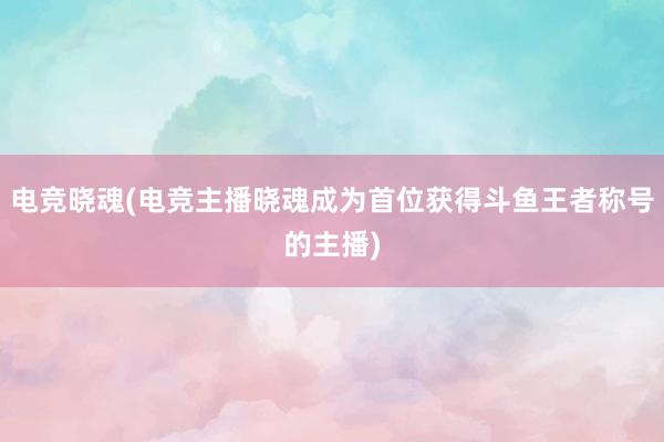 电竞晓魂(电竞主播晓魂成为首位获得斗鱼王者称号的主播)