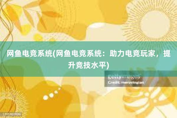 网鱼电竞系统(网鱼电竞系统：助力电竞玩家，提升竞技水平)