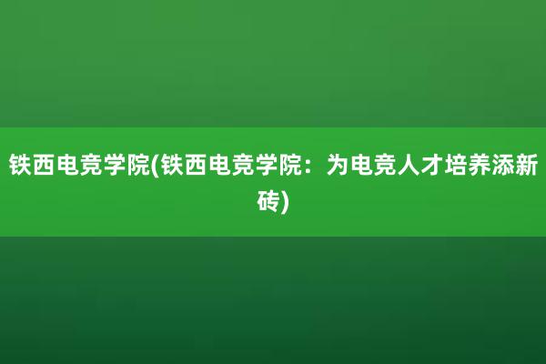 铁西电竞学院(铁西电竞学院：为电竞人才培养添新砖)