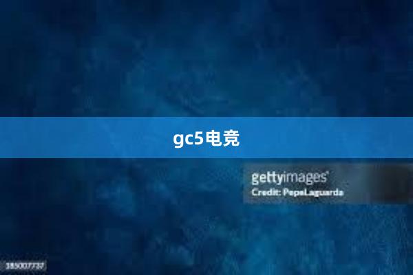 gc5电竞