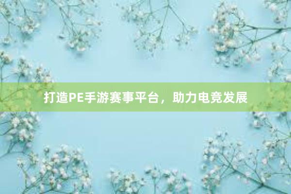 打造PE手游赛事平台，助力电竞发展