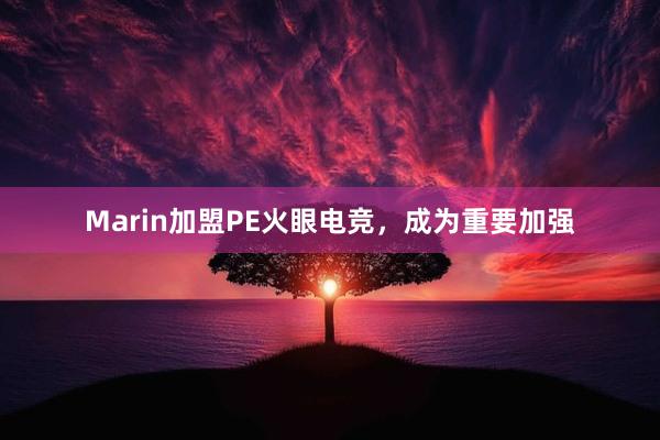 Marin加盟PE火眼电竞，成为重要加强