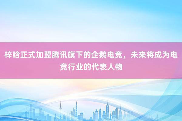 梓晗正式加盟腾讯旗下的企鹅电竞，未来将成为电竞行业的代表人物