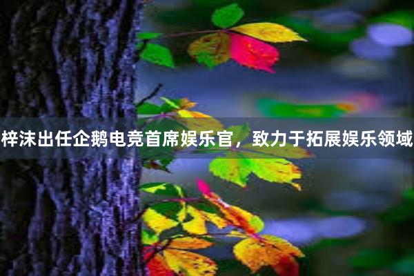 梓沫出任企鹅电竞首席娱乐官，致力于拓展娱乐领域