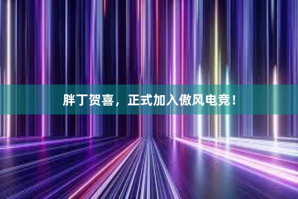 胖丁贺喜，正式加入傲风电竞！