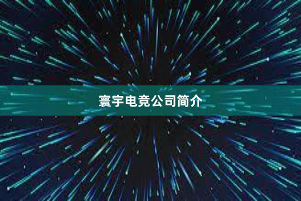 寰宇电竞公司简介