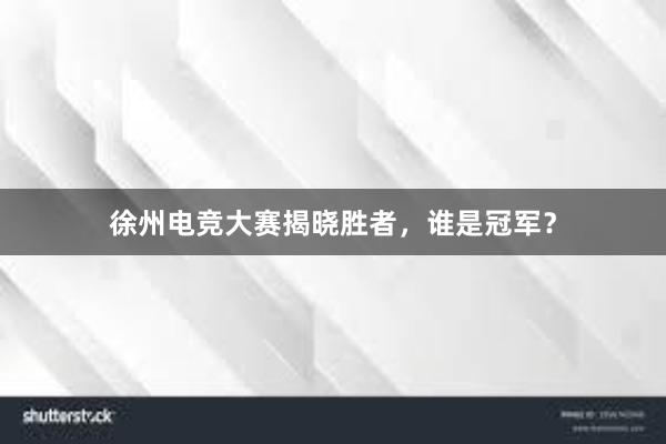 徐州电竞大赛揭晓胜者，谁是冠军？