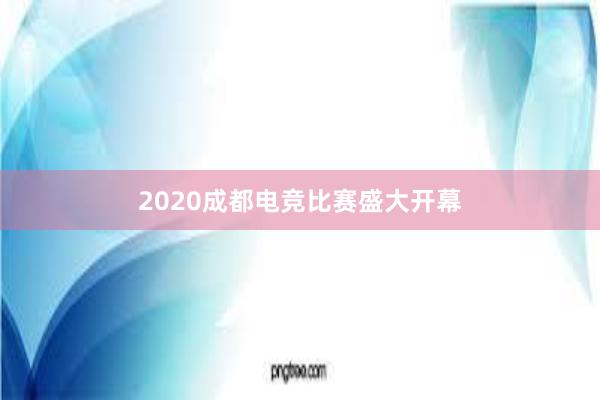 2020成都电竞比赛盛大开幕