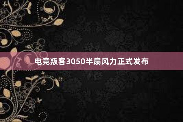 电竞叛客3050半扇风力正式发布