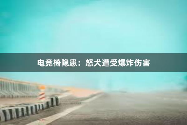 电竞椅隐患：怒犬遭受爆炸伤害