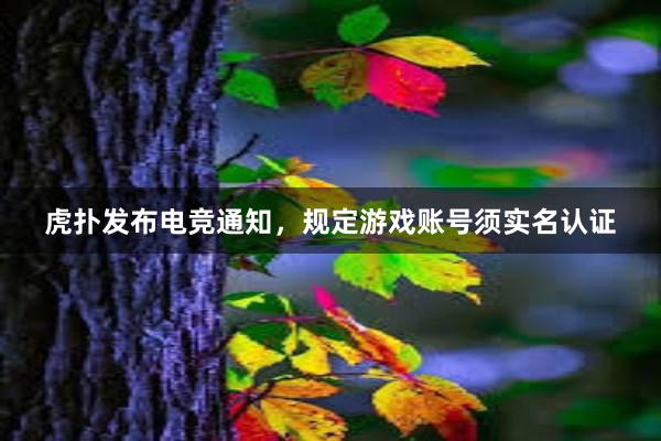 虎扑发布电竞通知，规定游戏账号须实名认证