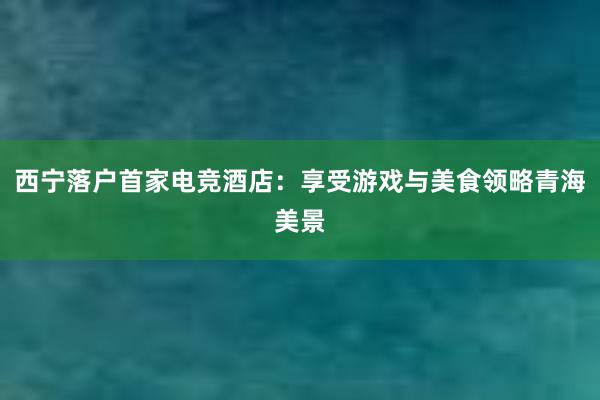 西宁落户首家电竞酒店：享受游戏与美食领略青海美景