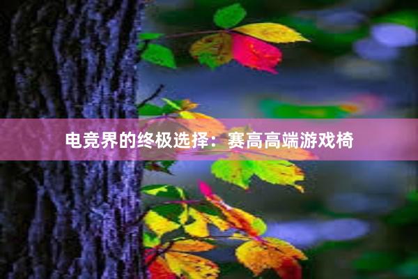 电竞界的终极选择：赛高高端游戏椅