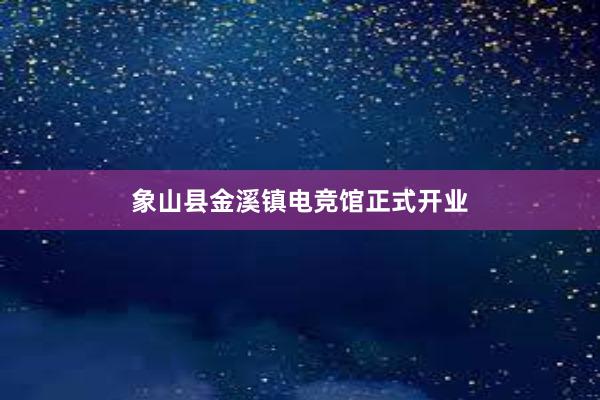 象山县金溪镇电竞馆正式开业