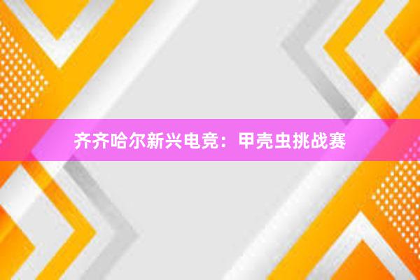 齐齐哈尔新兴电竞：甲壳虫挑战赛